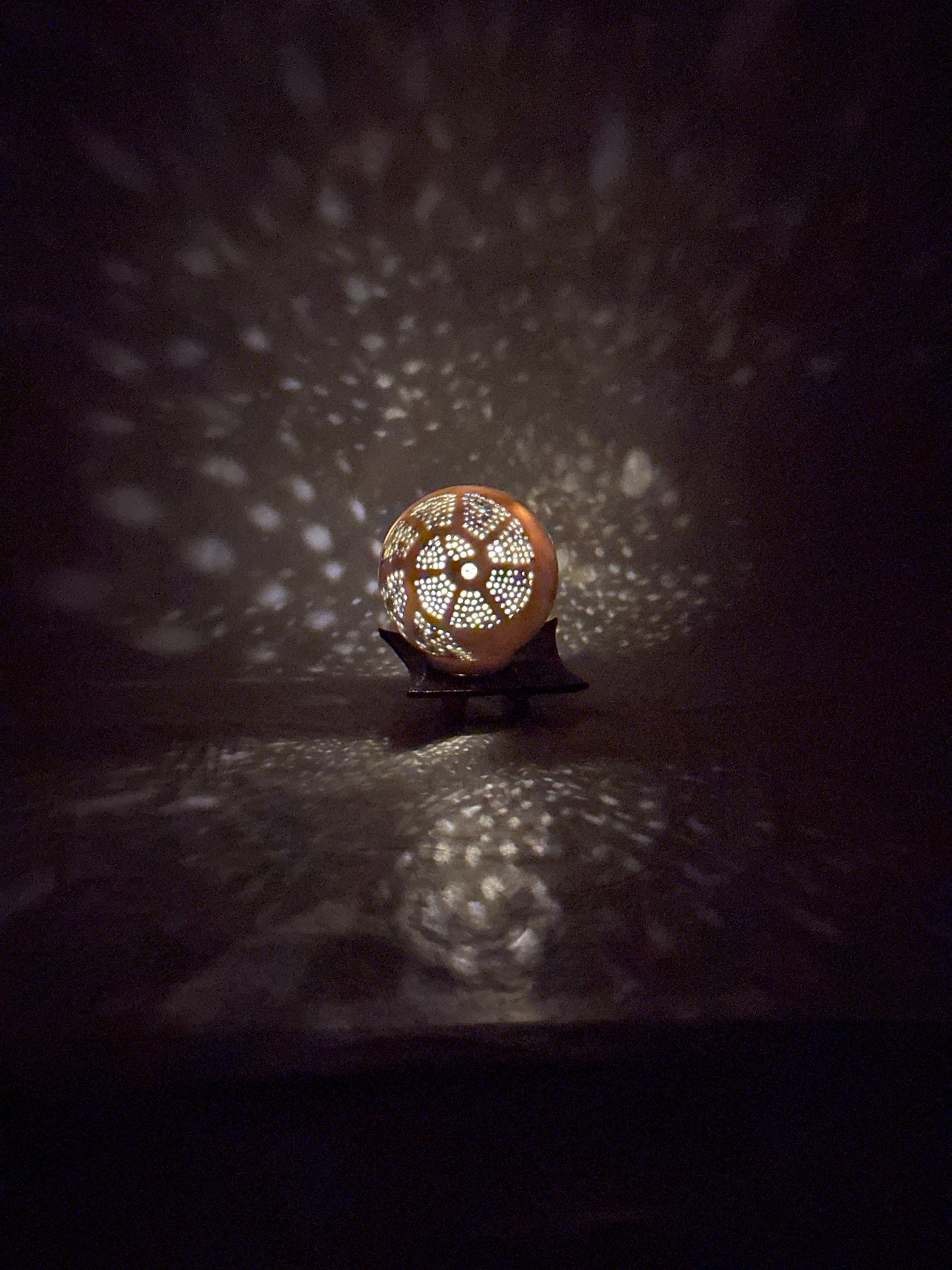 Ammonite Porcelain Orb